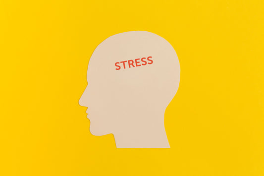 Stress Isn’t What You Think It Is