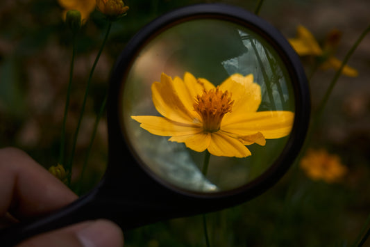 The Answer's Not Where You've Been Looking